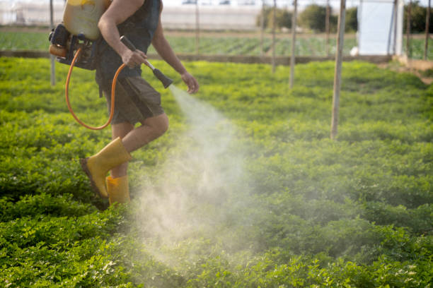 Best Mosquito Control Services  in Edmonds, WA
